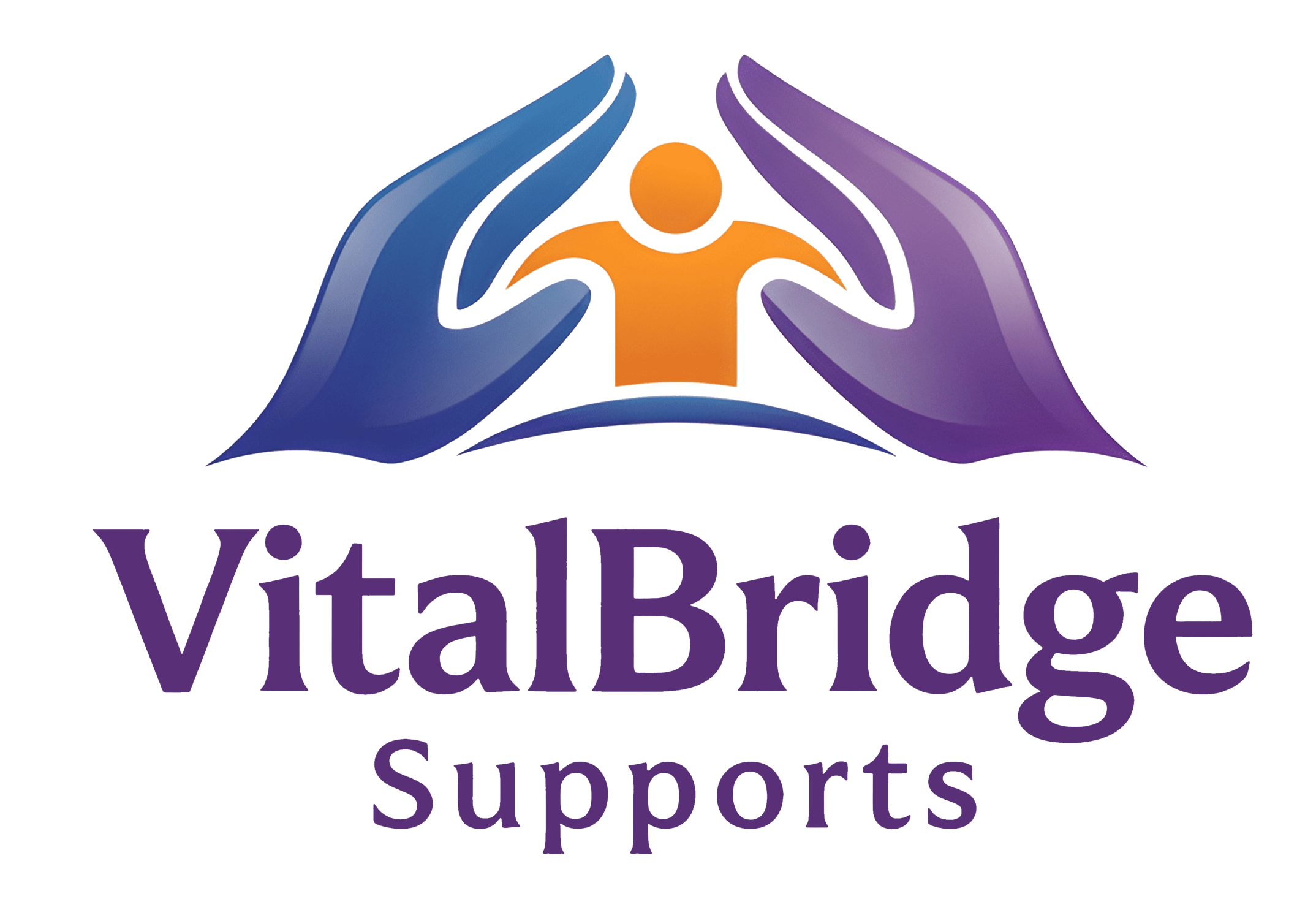 Vital Bridge Supports logo